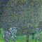 Roses under the Trees Poster Print by Gustav Klimt - Item # VARPDX1GK131